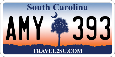SC license plate AMY393