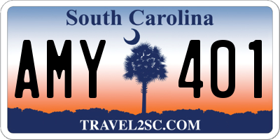 SC license plate AMY401