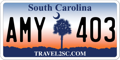 SC license plate AMY403