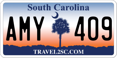 SC license plate AMY409