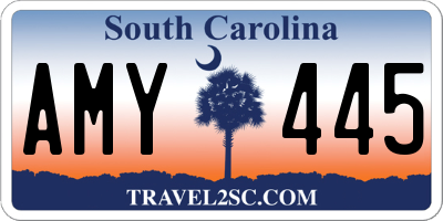 SC license plate AMY445