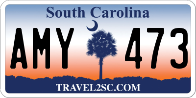 SC license plate AMY473