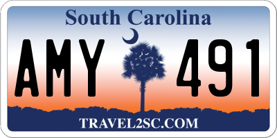 SC license plate AMY491