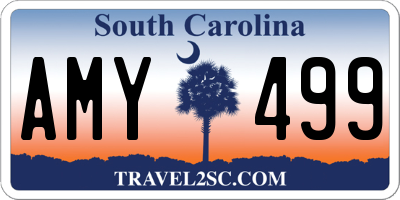 SC license plate AMY499