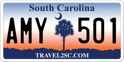 SC license plate AMY501