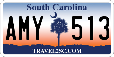 SC license plate AMY513