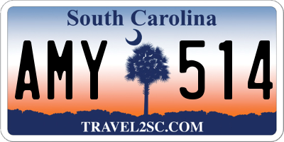 SC license plate AMY514