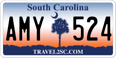SC license plate AMY524