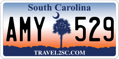 SC license plate AMY529