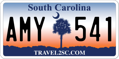SC license plate AMY541