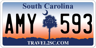 SC license plate AMY593