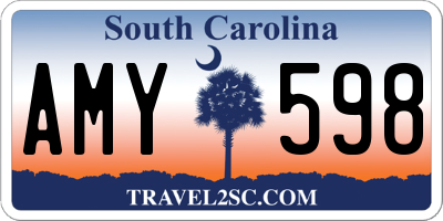 SC license plate AMY598