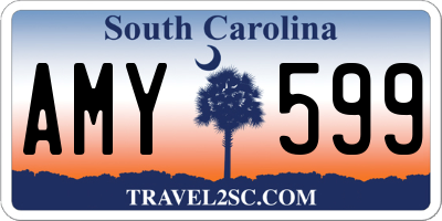 SC license plate AMY599