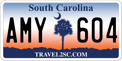 SC license plate AMY604