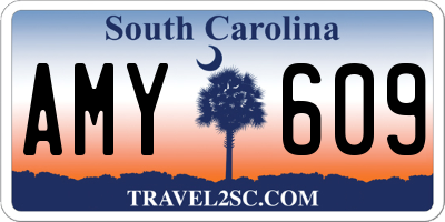 SC license plate AMY609