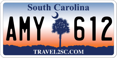 SC license plate AMY612