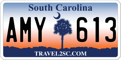 SC license plate AMY613