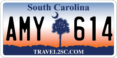 SC license plate AMY614