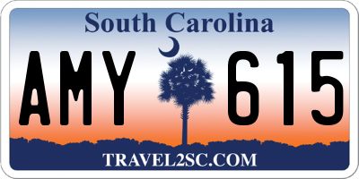 SC license plate AMY615