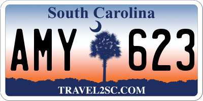 SC license plate AMY623