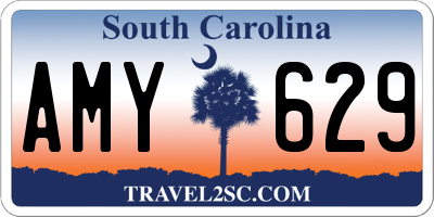 SC license plate AMY629