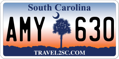 SC license plate AMY630