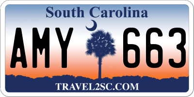 SC license plate AMY663