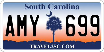 SC license plate AMY699