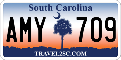 SC license plate AMY709