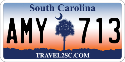 SC license plate AMY713