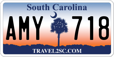 SC license plate AMY718