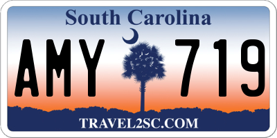 SC license plate AMY719