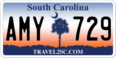 SC license plate AMY729