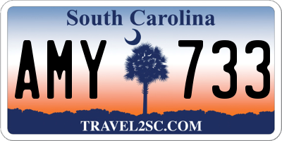 SC license plate AMY733