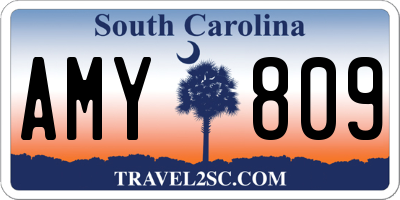 SC license plate AMY809