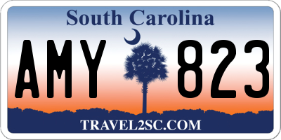 SC license plate AMY823