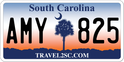 SC license plate AMY825