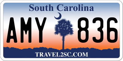 SC license plate AMY836