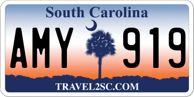 SC license plate AMY919