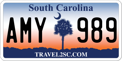 SC license plate AMY989
