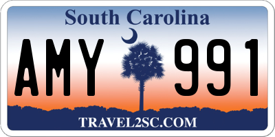 SC license plate AMY991