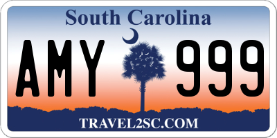 SC license plate AMY999