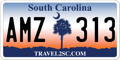SC license plate AMZ313