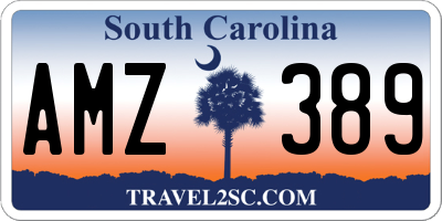 SC license plate AMZ389