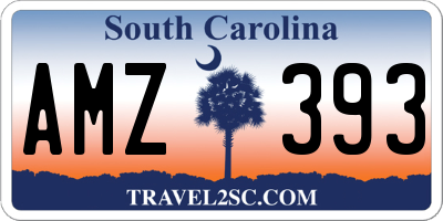 SC license plate AMZ393