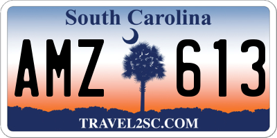 SC license plate AMZ613
