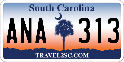 SC license plate ANA313