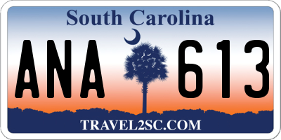 SC license plate ANA613