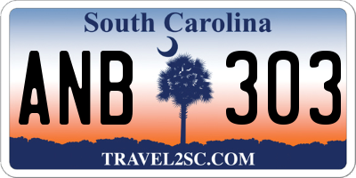 SC license plate ANB303