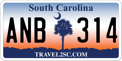 SC license plate ANB314